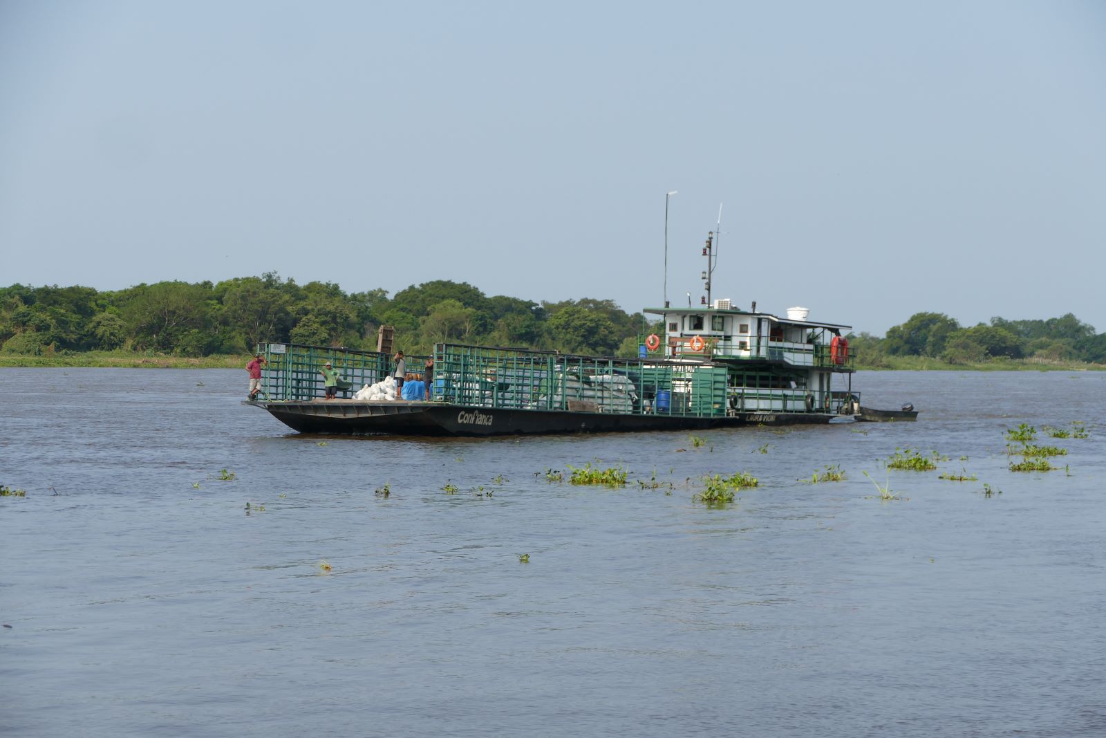 Ins Pantanal