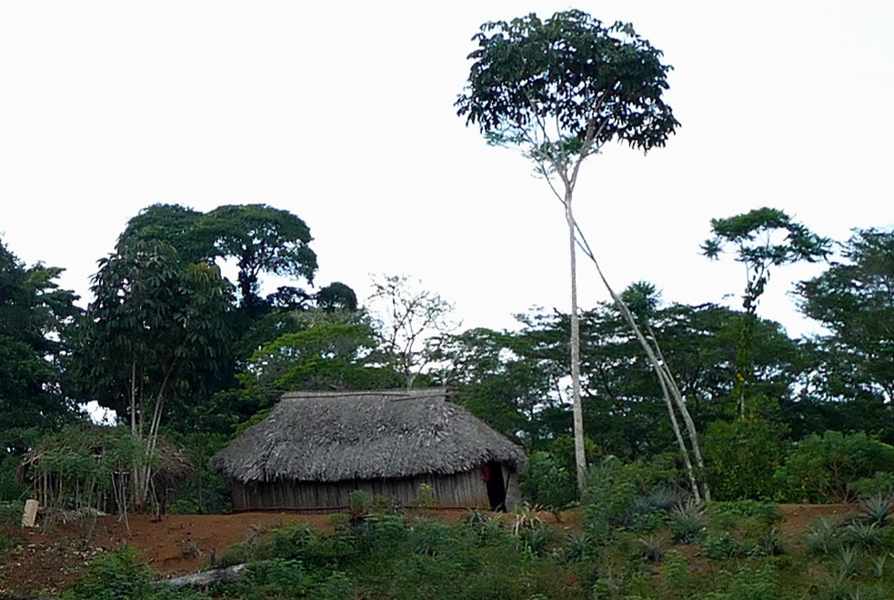Panamá III