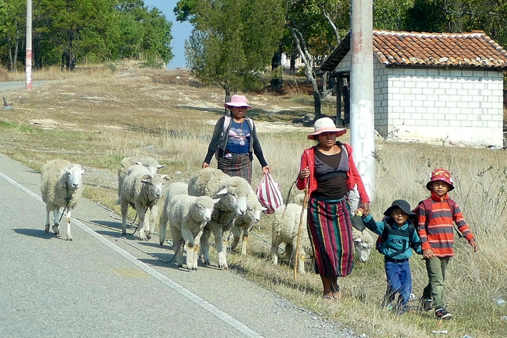Guatemala – auf ein Wiedersehen